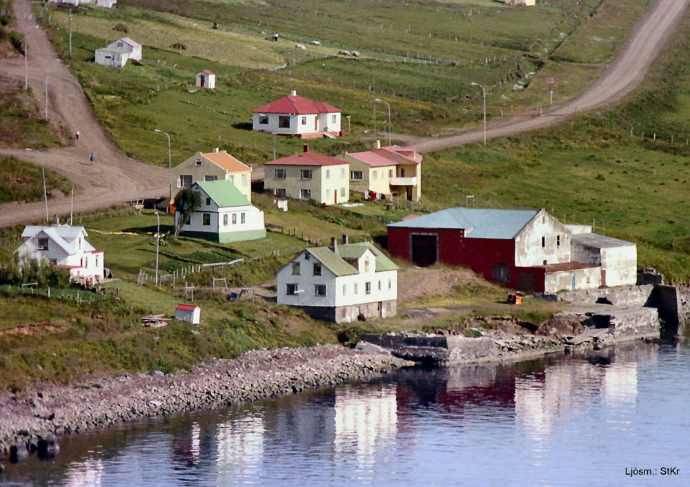 Húsin í Bakka böðuð í morgunsól (1980)